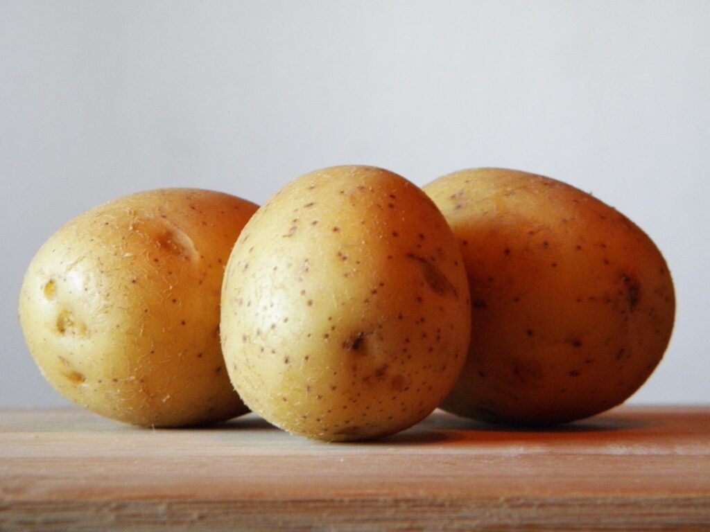 Potatis