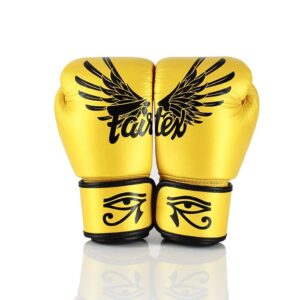 Ecoshaker EC1 700 ml, Earth 2 Fairtex BGV1, Boxing Gloves, Falcon Limited Edition