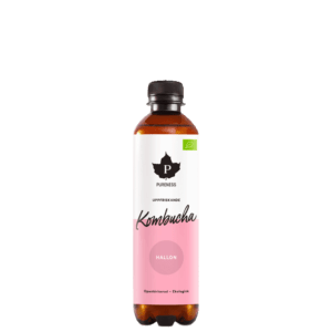 Butik 5 Kombucha EKO 370 ml