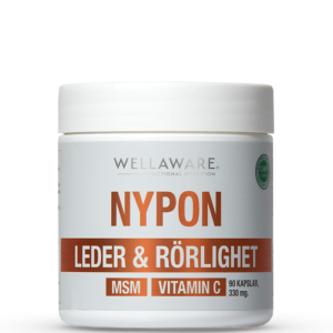 Butik 6 Nypon MSM Vitamin C 90 Kapslar