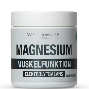 Butik 2 Magnesium 210 Minitabletter